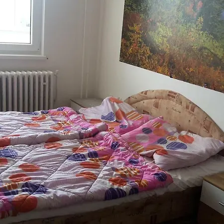 Tatry-nova Lesna Apartment *